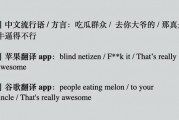 吃瓜群众英语翻译怎么写,From 'Eating Watermelons' to 'Gossipy Spectators: Decoding the English Translation of 'Eating the Cucumber Audience'